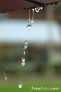 Rain