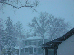 Blizzard