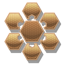 Frenzy Icon