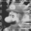 Ludicrous Speed Luigi Icon
