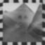 TT Chocolate Chompers Icon