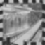 TT Donkey Cocomush Icon