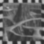 TT Dino Mushroom Icon
