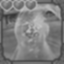 Tentacles of the Deep Icon