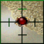 Quake Zone Rumble Icon