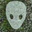 Mask Collector Icon