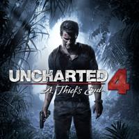 Uncharted 4: A Thief's End Badge